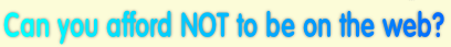 Can you afford NOT to be on the web?